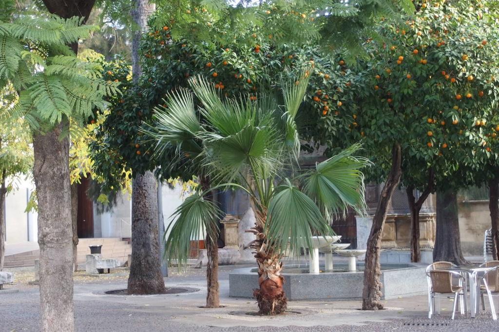 Centro Cordoba Apartaluz-8 Wifi Pk Exterior foto