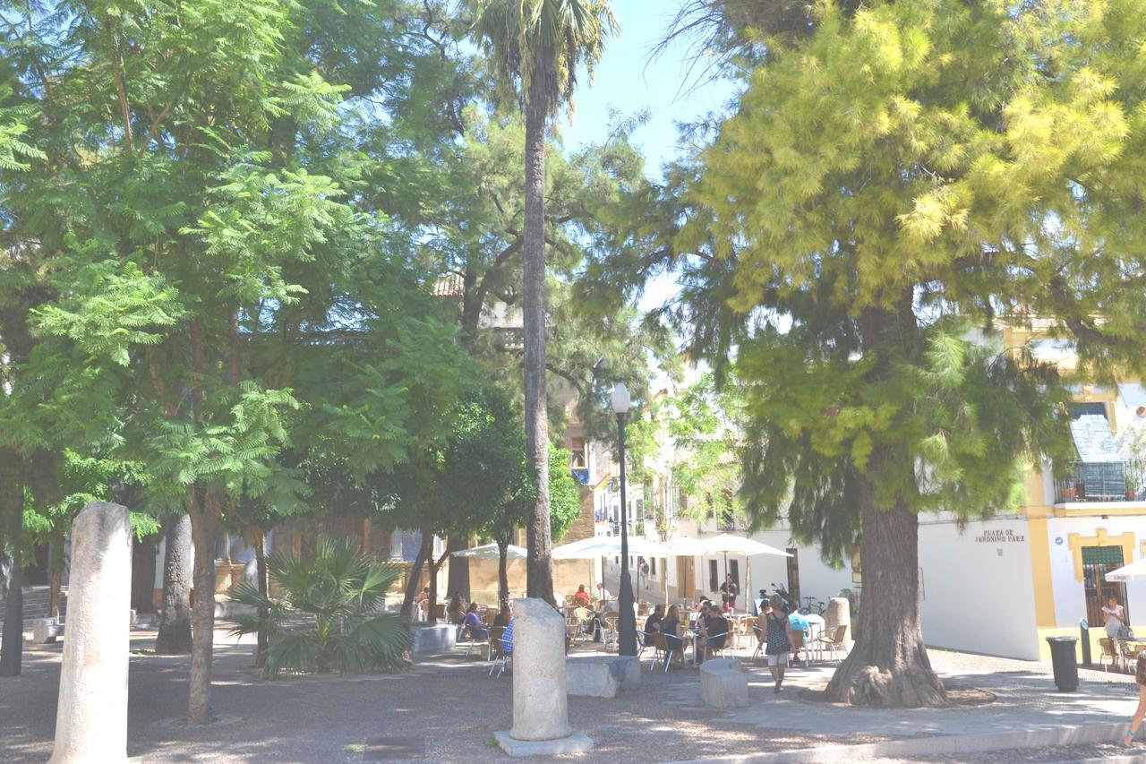Centro Cordoba Apartaluz-8 Wifi Pk Exterior foto
